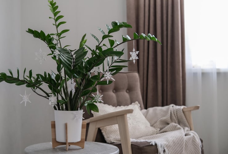 Home And Garden Decorating