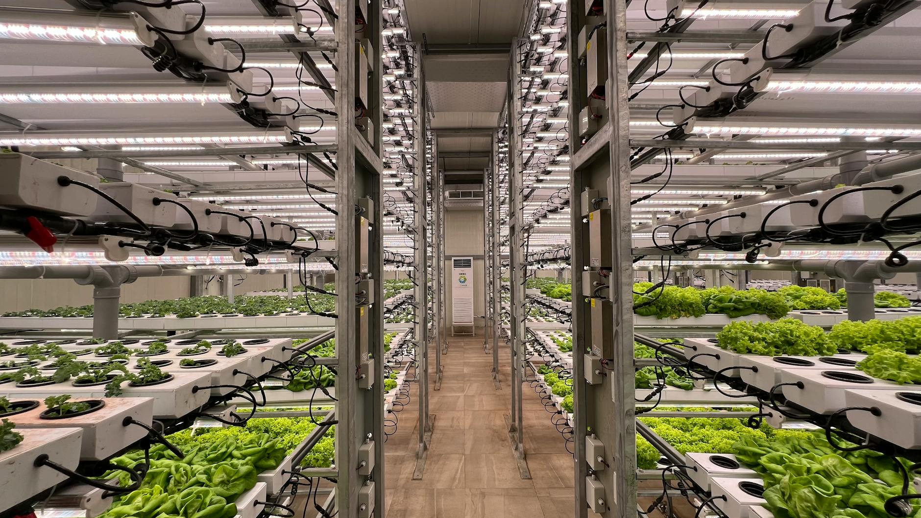 Smart Home Indoor Farming Systems for Sustainable Food Production